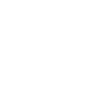 kiwix-light.png