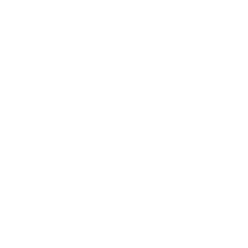 netmaker-light.png